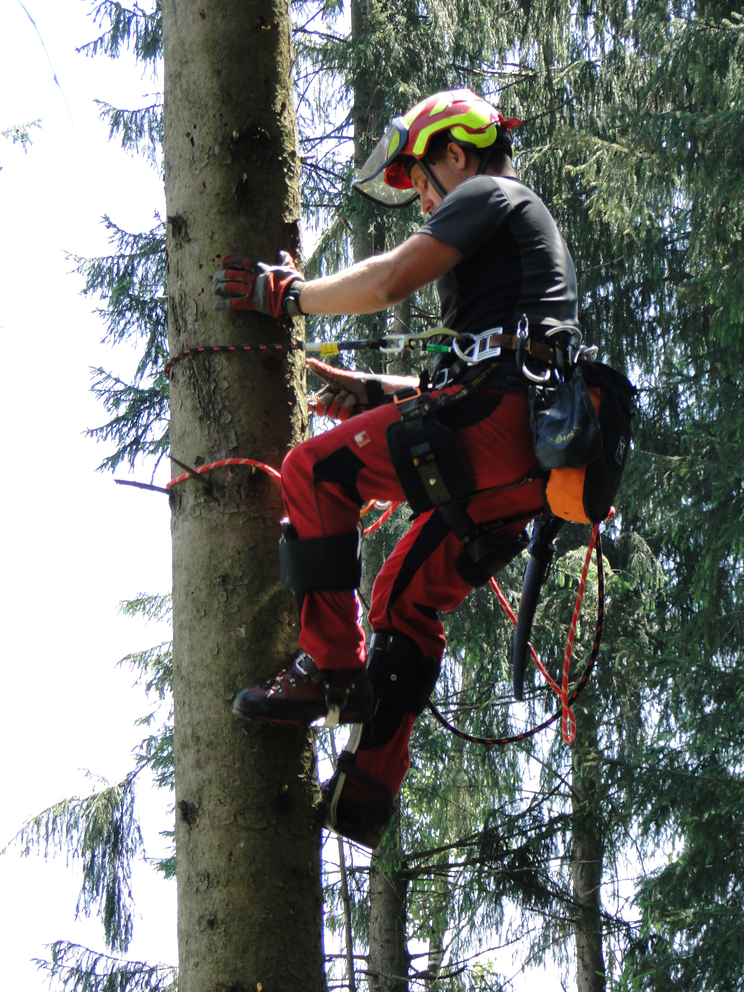 TreeUp Baumpflege Starterset Hobby Klettergurt Steigeisen Sicherungsseil Forst 