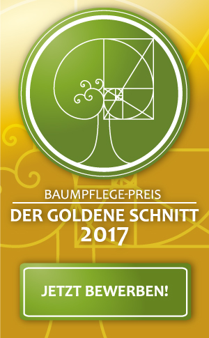 goldener-schnitt-2017