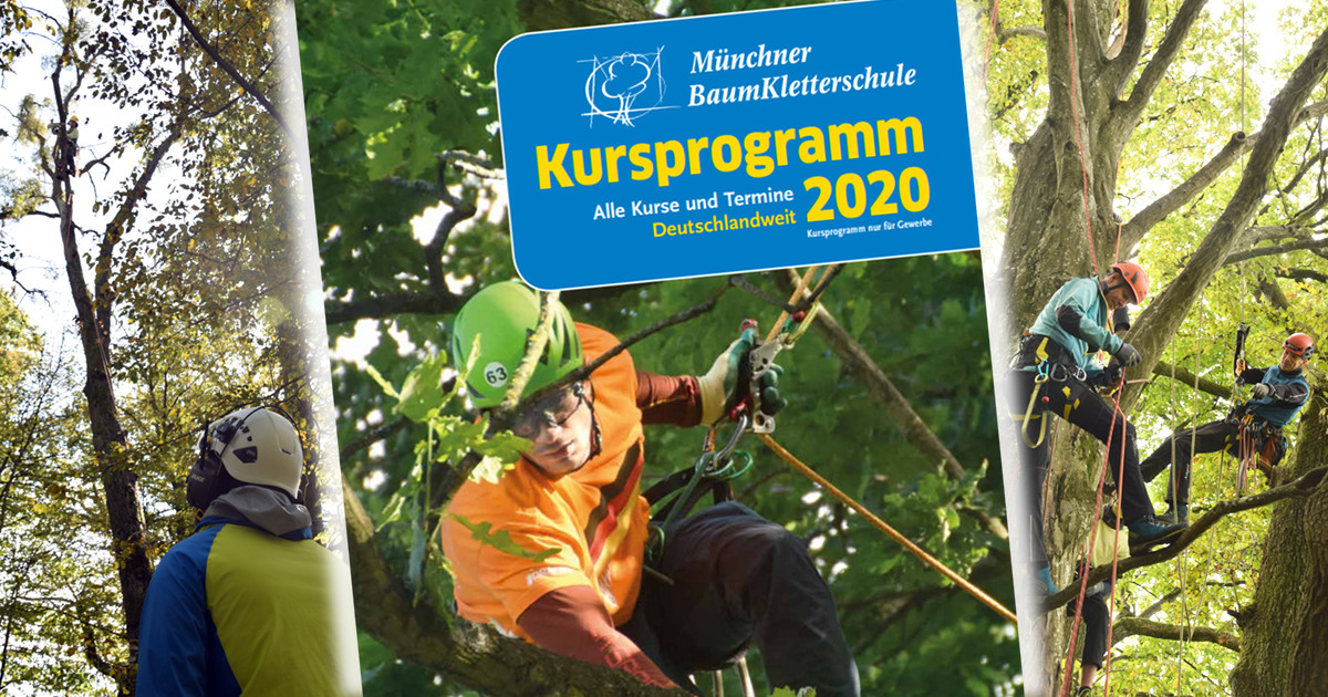 Kursprogramm 2020