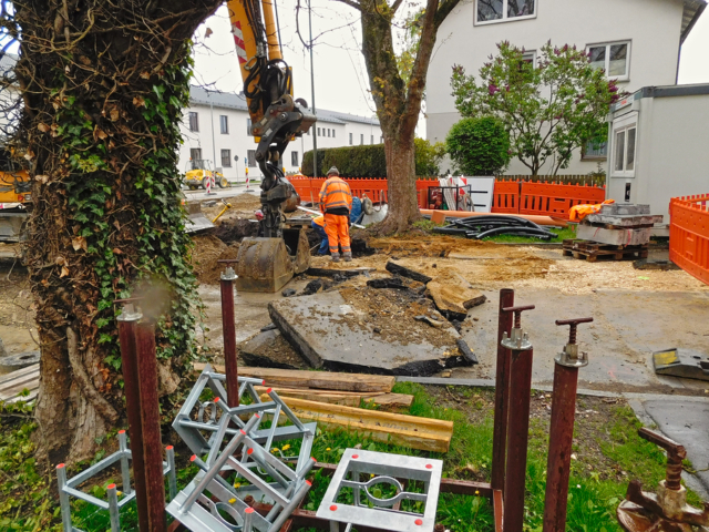 Wurzelschäden an Bäumen entstehen bei Tiefbauarbeiten