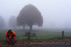 Buschfeuer in Australien - nach dem großen Feuer