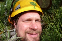 Work & Travel als Baumkletterer in Kanada