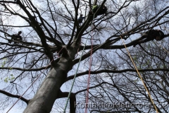 Die Kunst des Kletterns muss kein Traum bleiben (SKT-A Kurs)