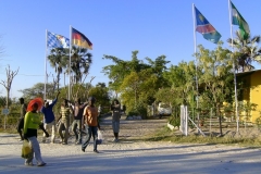 Baumschule in Afrika