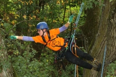 Deutsche Baumklettermeisterschaft 2015