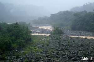 KB15-10: Regenwald Costa Rica, Abbildung 2