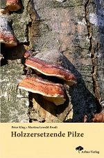 Klug, Lewald-Brudi: Holzzersetzende Pilze